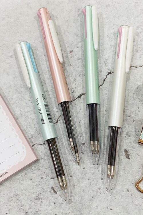 PEN 4 COLOURS - PASTEL