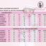 NURSE SHORT SLEEVE MATERNITY UNIFORM (ONE SET TOP & PANT)