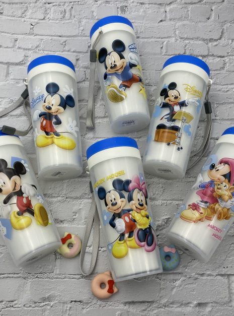 WATER BOTTLE MICKEY & MINNIE - RANDOM DESIGN
