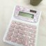 CALCULATOR - SAKURA